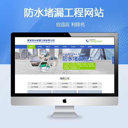 防漏防水堵漏工程网站