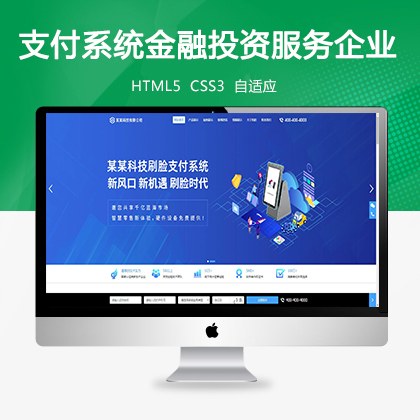 支付系统金融投资服务企业