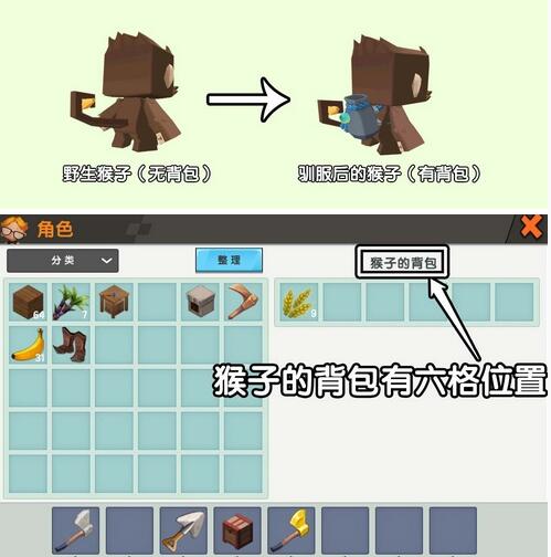 游侠网5