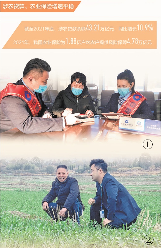 金融服务为春耕备耕提供助力（财经眼）