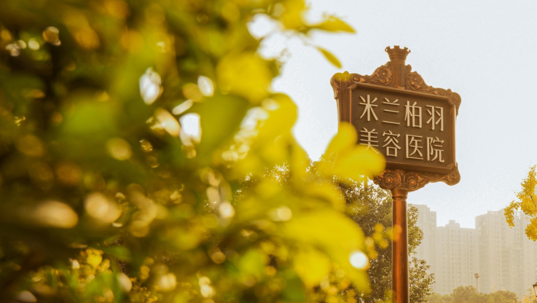 新360行：新质美“力”，米兰柏羽的美学达观