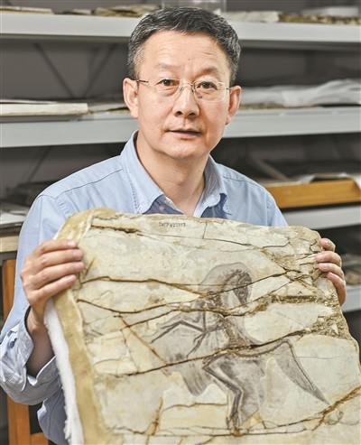 广东恐龙版图再添新成员，超龙化石入藏正佳自然科学博物馆