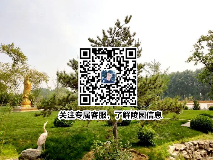 jiulishanerqu.jpg