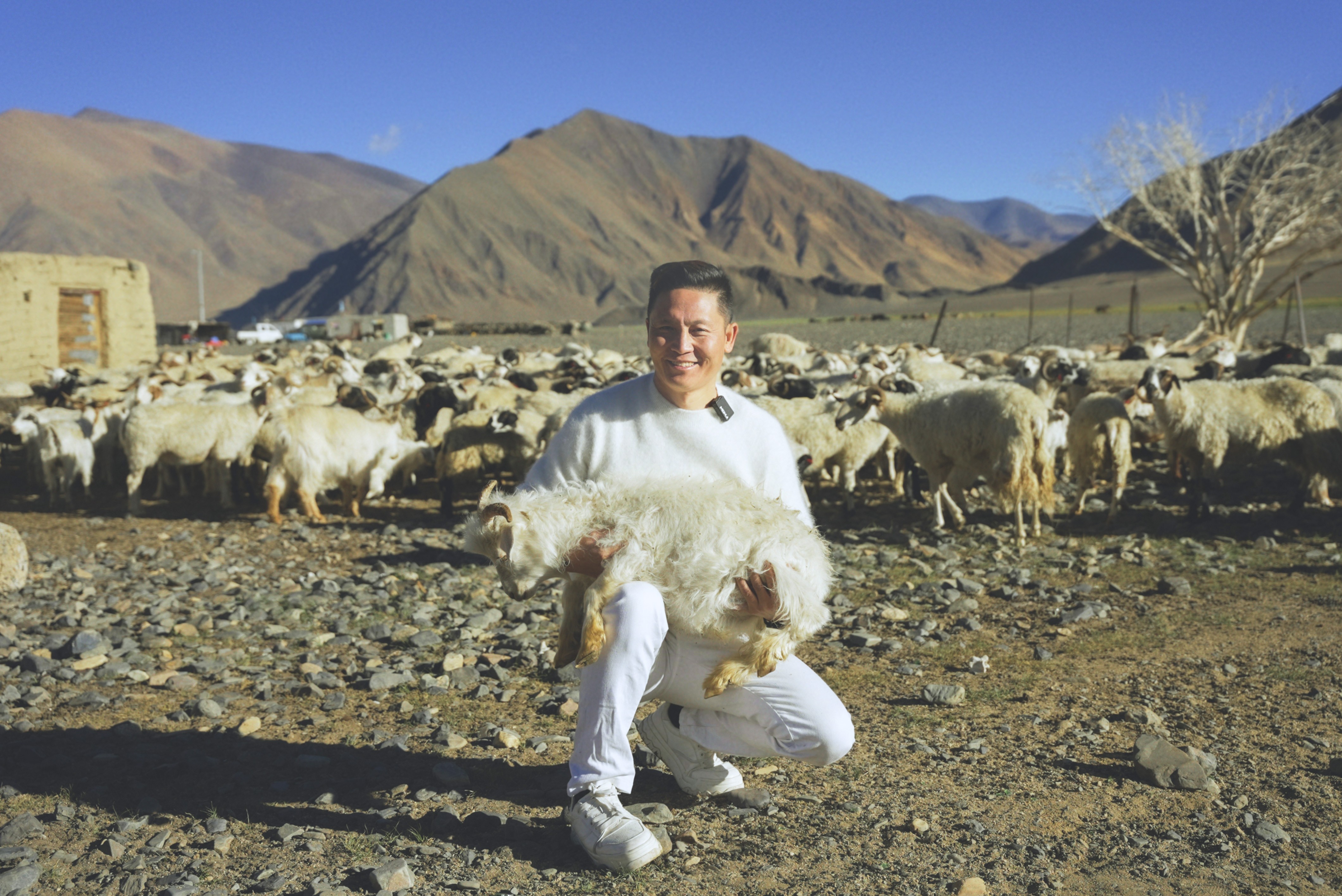 1742536887471897.jpg 1742536887471897.jpg