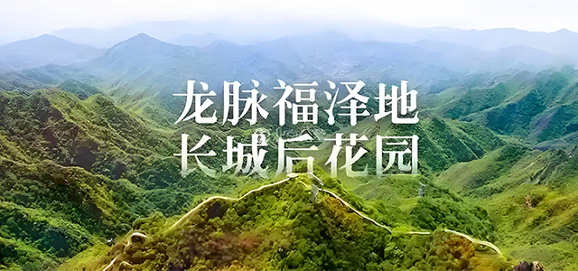 九公山长城纪念林：缅怀历史，永葆